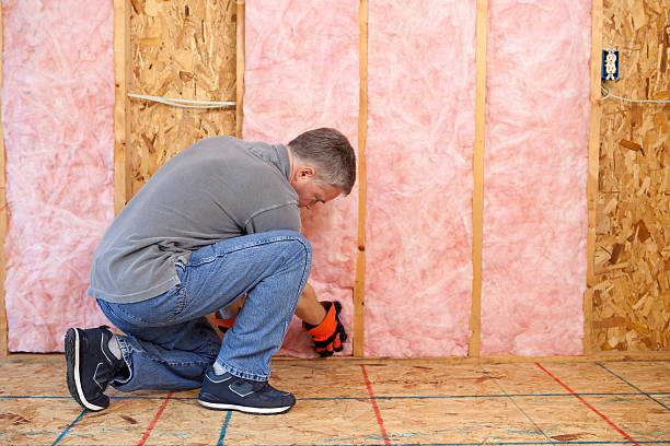 Best Insulation Removal  in USA